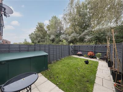 Picture 19